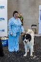 DSC_0412.webp