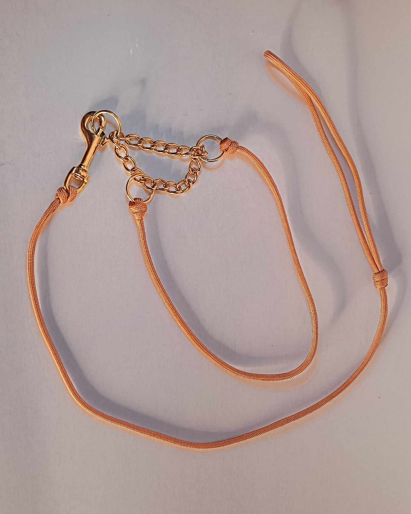 Laisse d'exposition simple (1m20, Argent/Nickel)