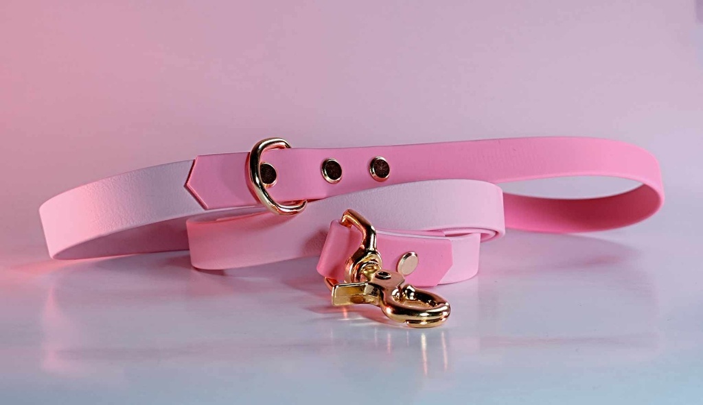 Laisse Double Joy (Mini, 1m20, Argent/Nickel)