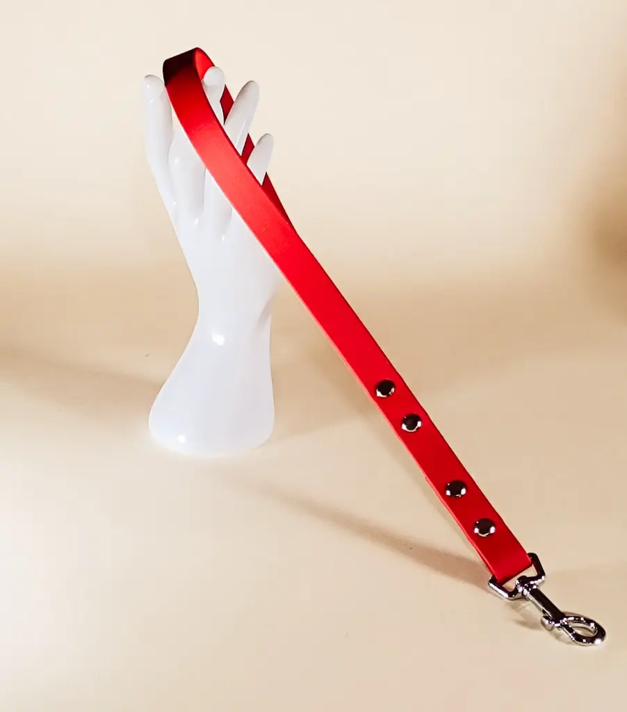 Poignée Paw Handle (Argent/Nickel)